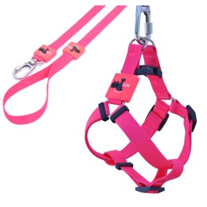 Coleira Cachorros com Guia Pink M Style