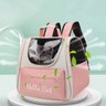 Mochila Bolsa Transporte Cachorro Gato Animais Pet Bolsa Ventilado Ar Vista Panoramica Viagem Passei - 7