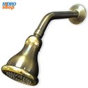 Ver imagem 1 de Chuveiro Fabrimar Jolie Ouro Velho 1994G - 1994GJO