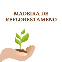 Suporte Monitor Madeira Rustica Maciça 70x20x10cm - 6