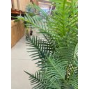 Ver imagem 6 de Planta Artificial Palmeira Areca Coqueiro com 1.50 Metros