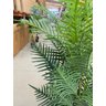 Planta Artificial Palmeira Areca Coqueiro com 1.50 Metros - 6