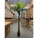 Ver mais imagens de Palmeira Phoenix Artificial Planta Decoração Coqueiro 2.30m, Planta Decorativa para Casa e Eventos.