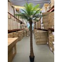 Ver imagem 2 de Palmeira Phoenix Artificial Planta Decoração Coqueiro 2.30m, Planta Decorativa para Casa e Eventos.