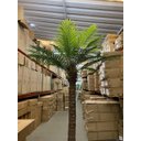 Ver imagem 5 de Palmeira Phoenix Artificial Planta Decoração Coqueiro 2.30m, Planta Decorativa para Casa e Eventos.