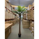 Ver imagem 4 de Palmeira Phoenix Artificial Planta Decoração Coqueiro 2.30m, Planta Decorativa para Casa e Eventos.