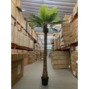 Ver imagem 3 de Palmeira Phoenix Artificial Planta Decoração Coqueiro 2.30m, Planta Decorativa para Casa e Eventos.