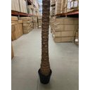 Ver imagem 7 de Palmeira Phoenix Artificial Planta Decoração Coqueiro 2.30m, Planta Decorativa para Casa e Eventos.