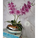 Ver imagem 1 de Arranjo Com 2 Orquídeas Violeta Vaso Prata 22cm