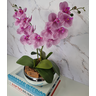 Arranjo Com 2 Orquídeas Violeta Vaso Prata 22cm - 2