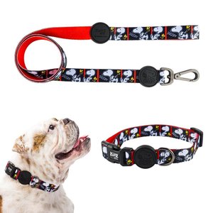 Coleira Com Guia Para Cachorros Pet Filmblack Zooz Pets P