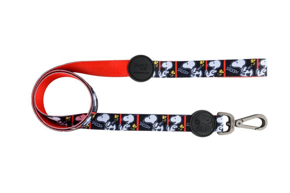 Coleira Com Guia Para Cachorros Pet Filmblack Zooz Pets P - 5