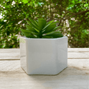 Ver imagem 1 de Mini Suculenta Artificial Vaso Cerâmica Branco - ALPSU01