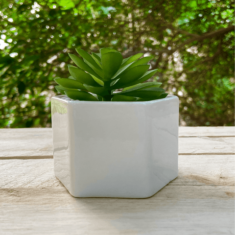 Mini Suculenta Artificial Vaso Cerâmica Branco - ALPSU01