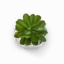 Ver imagem 3 de Mini Suculenta Artificial Vaso Cerâmica Branco - ALPSU01