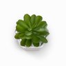 Mini Suculenta Artificial Vaso Cerâmica Branco - ALPSU01 - 3