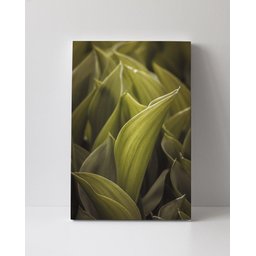 Tela em Canvas 114 - 1