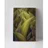 Tela em Canvas 114 - 1