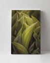 Ver imagem 1 de Tela em Canvas 114