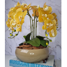 Arranjo Com 4 Orquídeas Amarela Vaso Fendi 28cm - 1
