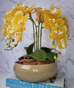 Ver imagem 1 de Arranjo Com 4 Orquídeas Amarela Vaso Fendi 28cm