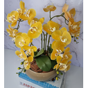 Ver imagem 2 de Arranjo Com 4 Orquídeas Amarela Vaso Fendi 28cm
