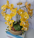 Ver imagem 2 de Arranjo Com 4 Orquídeas Amarela Vaso Fendi 28cm