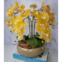 Ver imagem 3 de Arranjo Com 4 Orquídeas Amarela Vaso Fendi 28cm