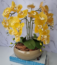Ver imagem 3 de Arranjo Com 4 Orquídeas Amarela Vaso Fendi 28cm