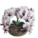 Ver imagem 1 de Arranjo de Flores Orquídeas com Vaso Grande de Mesa 4 Flores