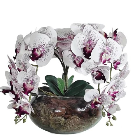 Arranjo de Flores Orquídeas com Vaso Grande de Mesa 4 Flores
