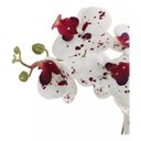 Ver imagem 4 de Arranjo de Flores Orquídeas com Vaso Grande de Mesa 4 Flores