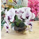 Ver imagem 2 de Arranjo de Flores Orquídeas com Vaso Grande de Mesa 4 Flores