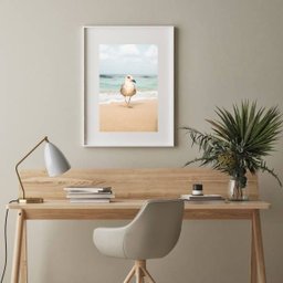 Quadro Gaivota na Praia - 60x48cm:madeira Preta - 2