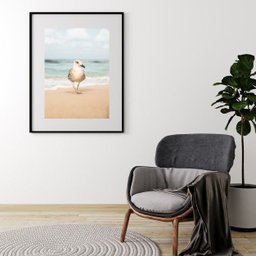 Quadro Gaivota na Praia - 60x48cm:madeira Preta - 1