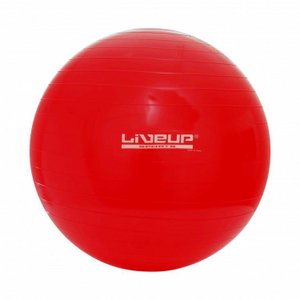 Bola Suíça para Pilates com Bomba de Inflar Live Up - 45cm