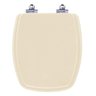 Tampa de Vaso Sanitário com Amortecedor Laguna Marfim (Bege) para bacia Hervy - 1