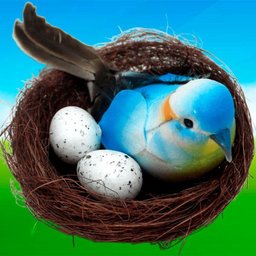 Kit 18 Decoração Pássaros Ovos Ninho Artesanal Enfeite 15cm - 4