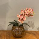 Ver imagem 3 de Arranjo de Orquídea Rosa Centro de Mesa no Vaso Transparente