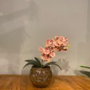 Ver imagem 2 de Arranjo de Orquídea Rosa Centro de Mesa no Vaso Transparente
