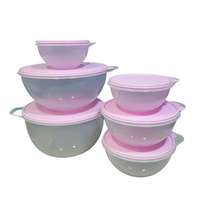 Tupperware Criativa Peonia Kit 6 Peças