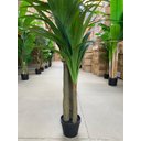 Ver imagem 5 de Planta Artificial Yucca Árvore Realista para Decoração 150cm, Plantas Artificiais Decorativa.
