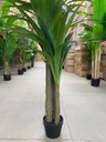 Ver imagem 5 de Planta Artificial Yucca Árvore Realista para Decoração 150cm, Plantas Artificiais Decorativa.