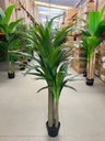 Ver imagem 7 de Planta Artificial Yucca Árvore Realista para Decoração 150cm, Plantas Artificiais Decorativa.