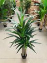 Ver imagem 6 de Planta Artificial Yucca Árvore Realista para Decoração 150cm, Plantas Artificiais Decorativa.