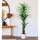 Ver imagem 1 de Planta Artificial Yucca Árvore Realista para Decoração 150cm, Plantas Artificiais Decorativa.