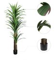 Ver mais imagens de Planta Artificial Yucca Árvore Realista para Decoração 150cm, Plantas Artificiais Decorativa.