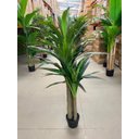 Ver imagem 3 de Planta Artificial Yucca Árvore Realista para Decoração 150cm, Plantas Artificiais Decorativa.