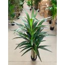 Ver imagem 4 de Planta Artificial Yucca Árvore Realista para Decoração 150cm, Plantas Artificiais Decorativa.