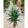 Planta Artificial Yucca Árvore Realista para Decoração 150cm, Plantas Artificiais Decorativa. - 4
